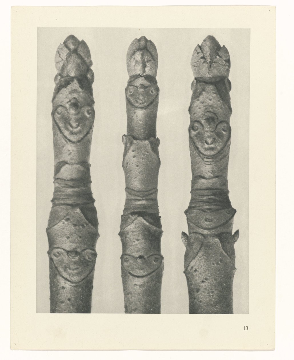 terv tanulmány A művészet archetípusai (sorozat címe) alkotó: Karl Blossfeldt