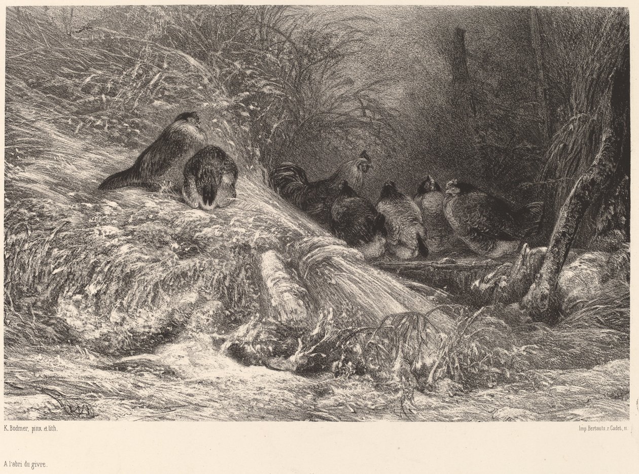 Fagytól védett. alkotó: Karl Bodmer