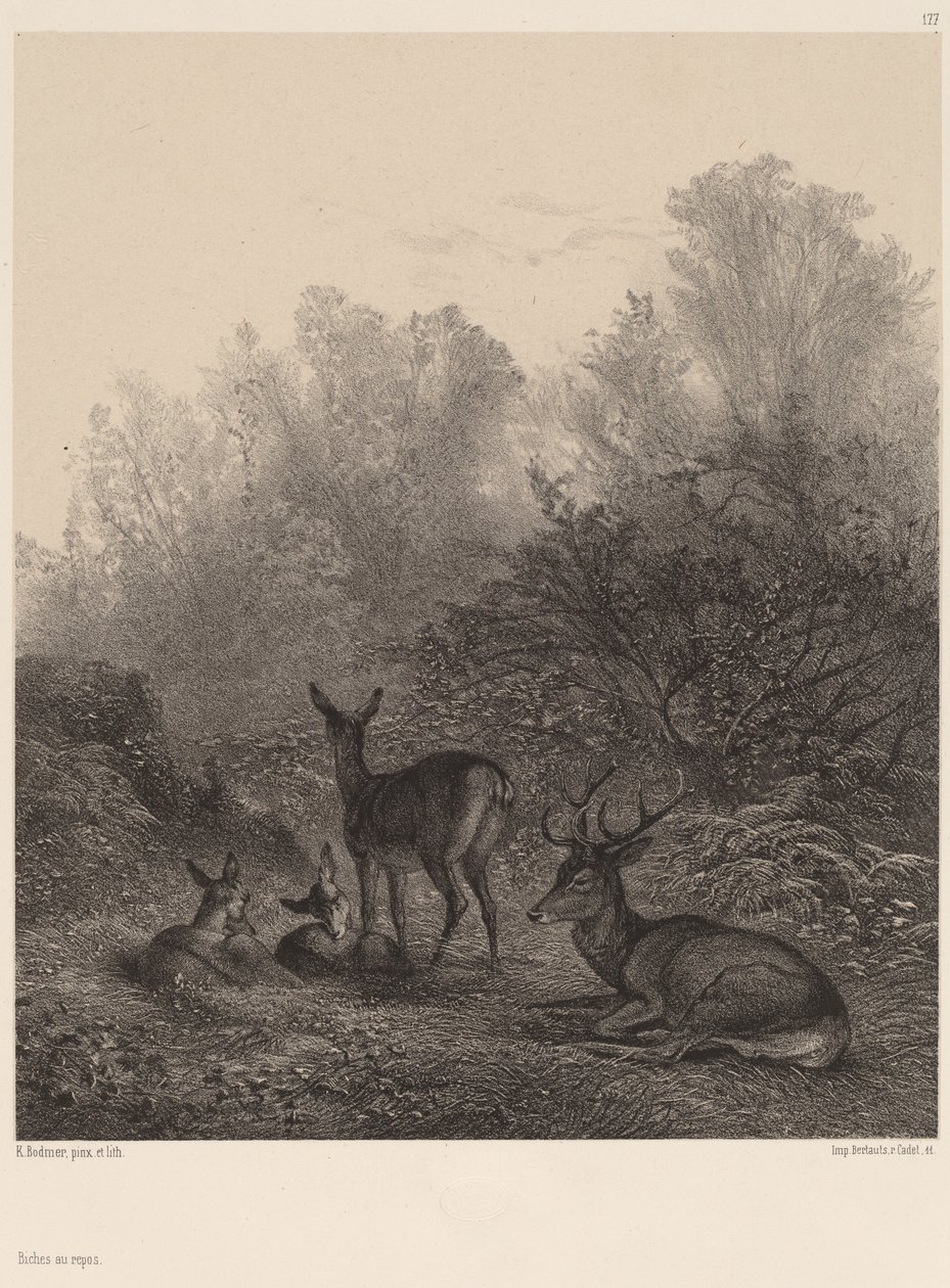 Hindek nyugalomban. alkotó: Karl Bodmer