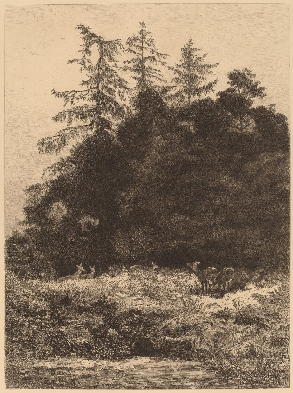 Dámszarvas a parkban. alkotó: Karl Bodmer