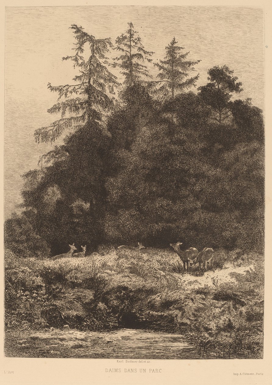 Dámszarvas a parkban alkotó: Karl Bodmer