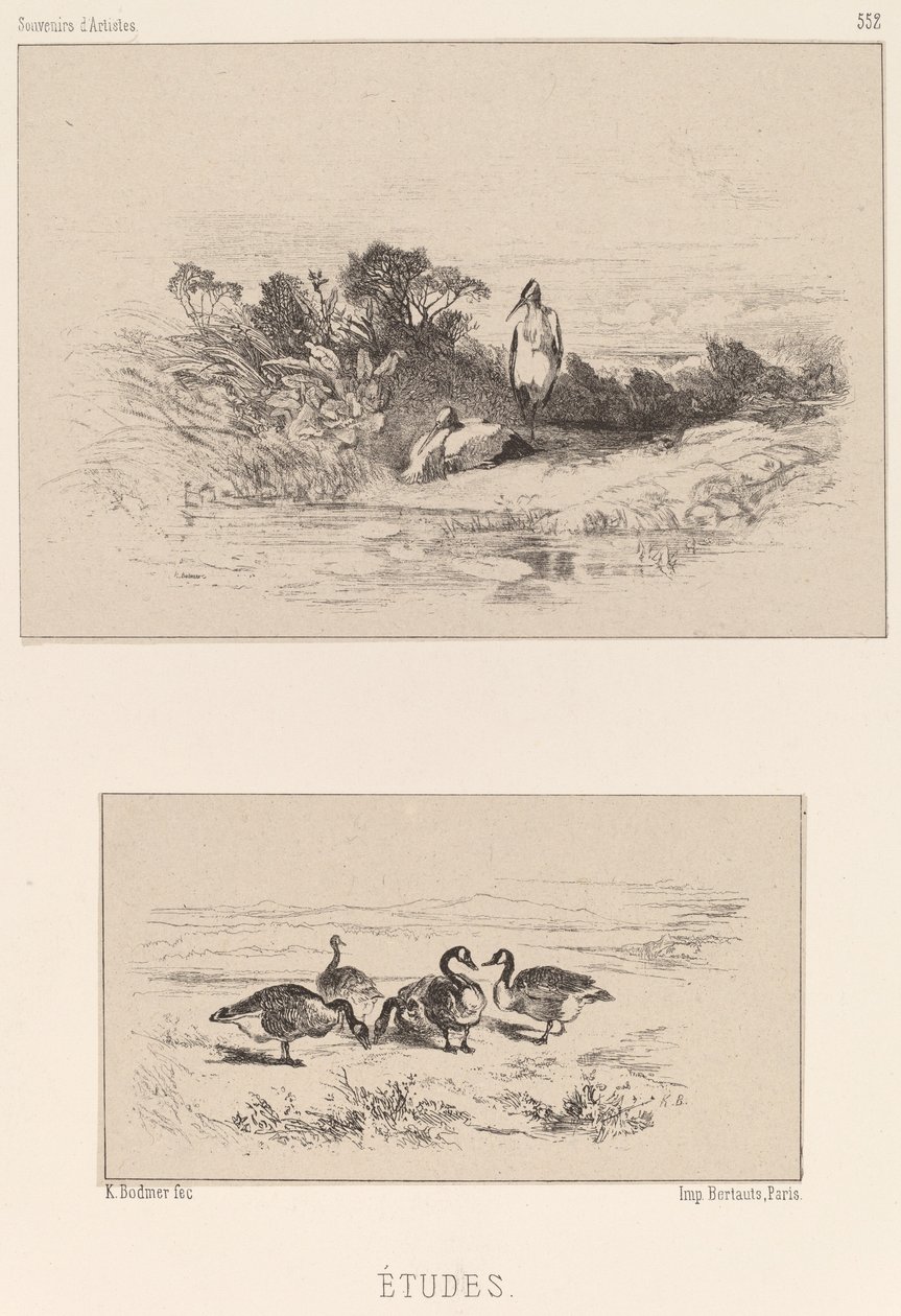 Tanulmányok. alkotó: Karl Bodmer