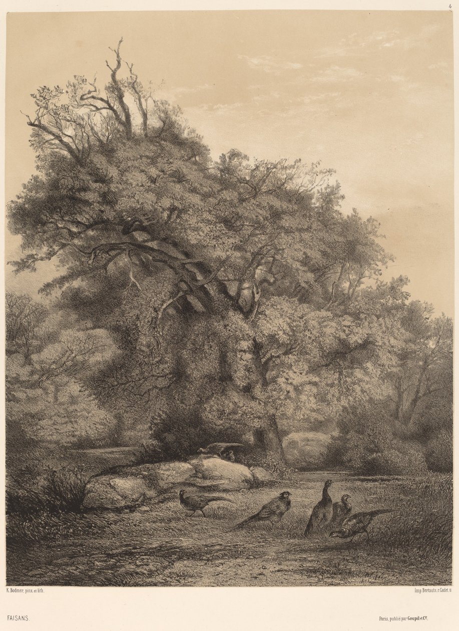 Fácánok alkotó: Karl Bodmer