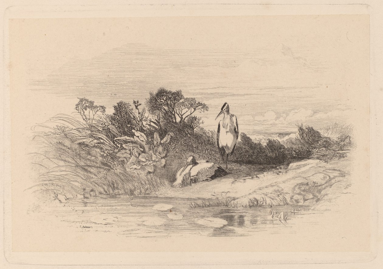 Gémek alkotó: Karl Bodmer