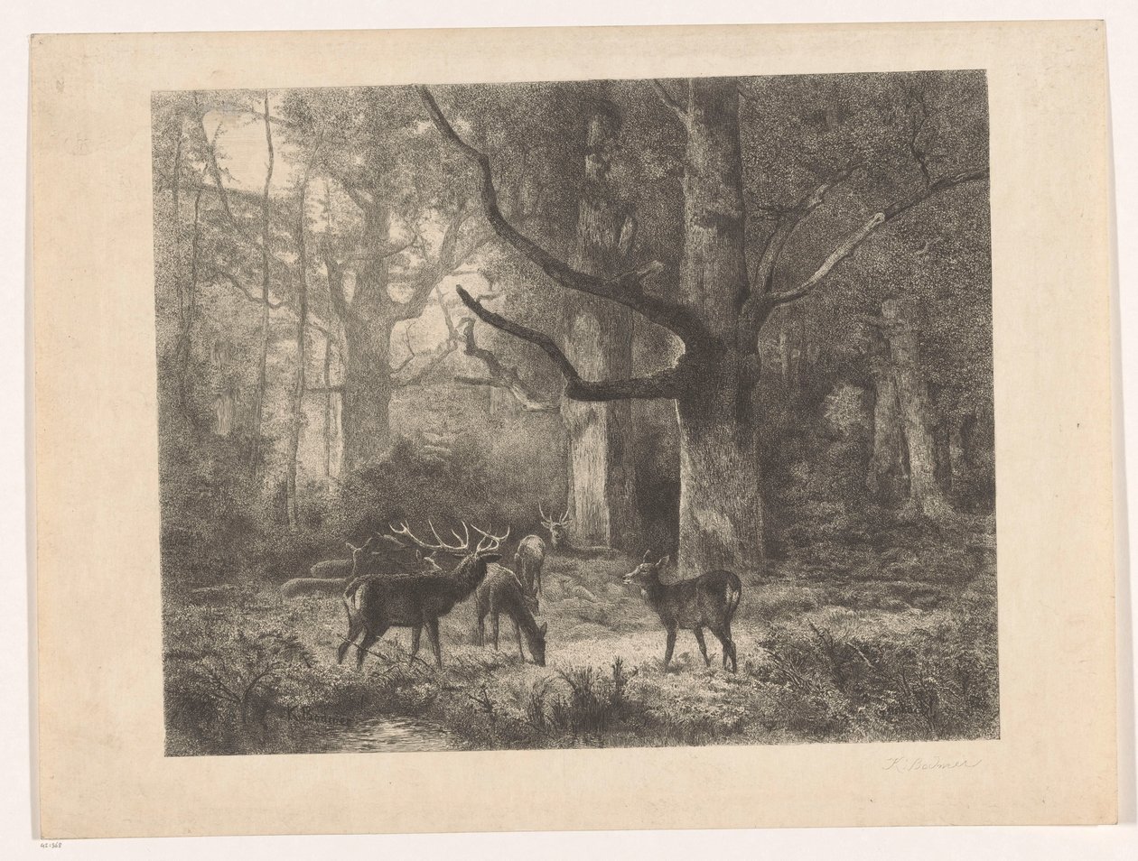 Szarvas az erdőben alkotó: Karl Bodmer