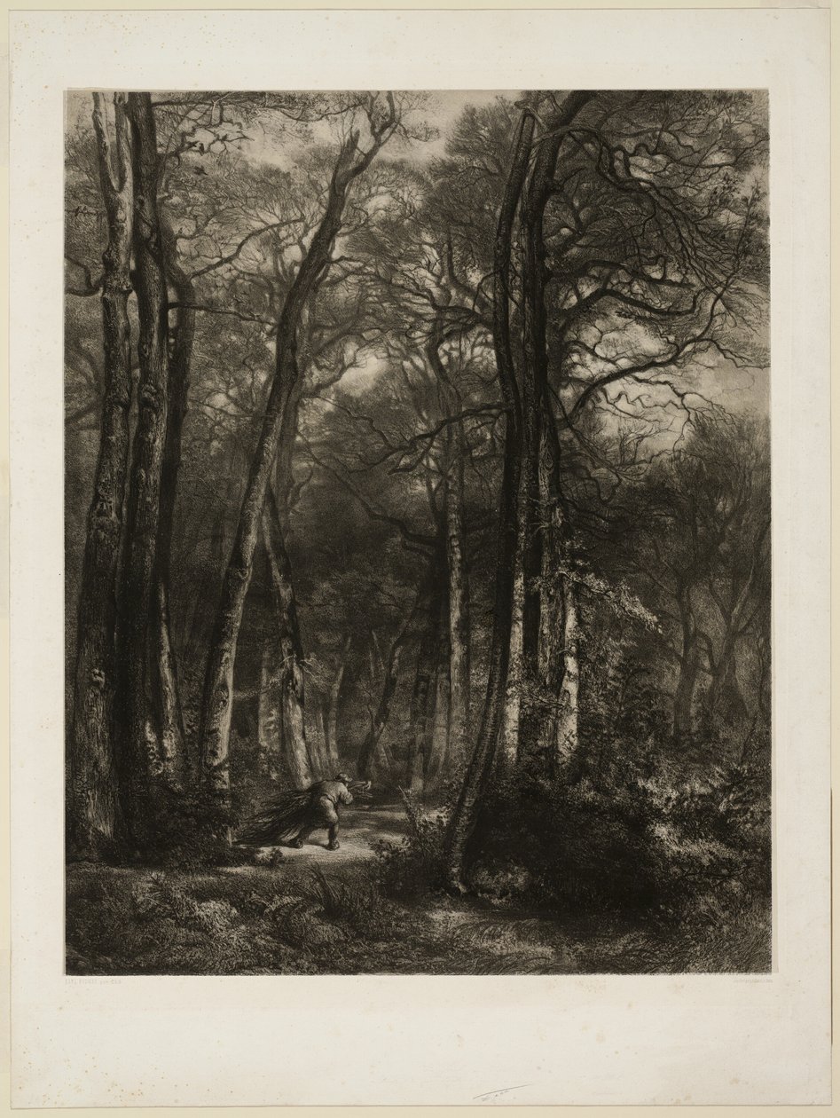 Az erdőben alkotó: Karl Bodmer