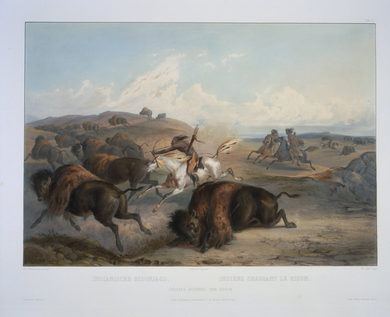 Indiánok vadásznak a bölényre alkotó: Karl Bodmer