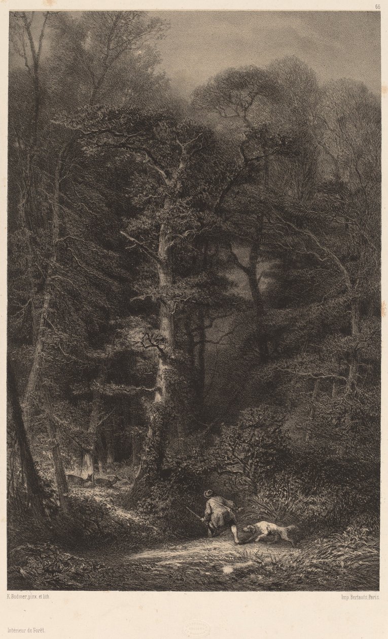Az erdő belseje. alkotó: Karl Bodmer