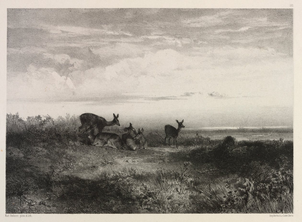 Táj szarvassal, c. 1840. alkotó: Karl Bodmer