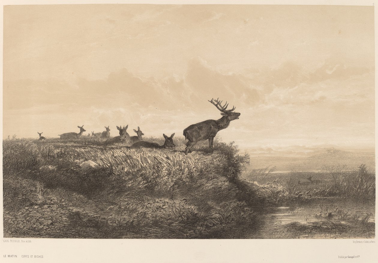 A reggel alkotó: Karl Bodmer