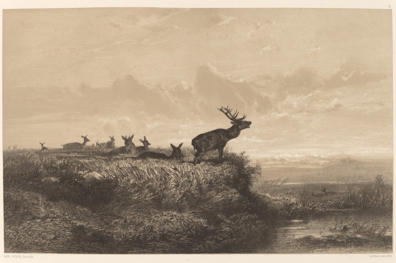 A reggel. Szarvasok és Hindek. alkotó: Karl Bodmer