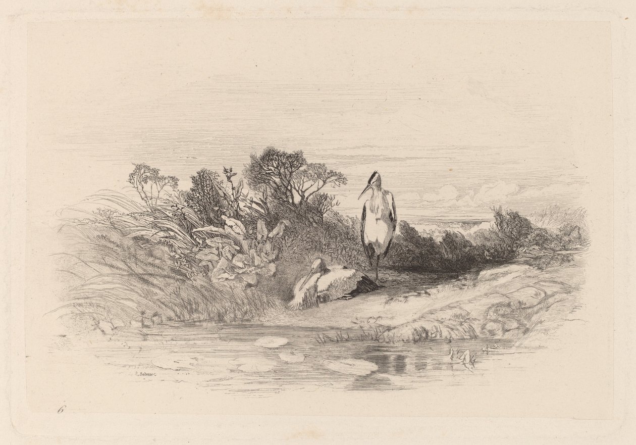 A két gém alkotó: Karl Bodmer
