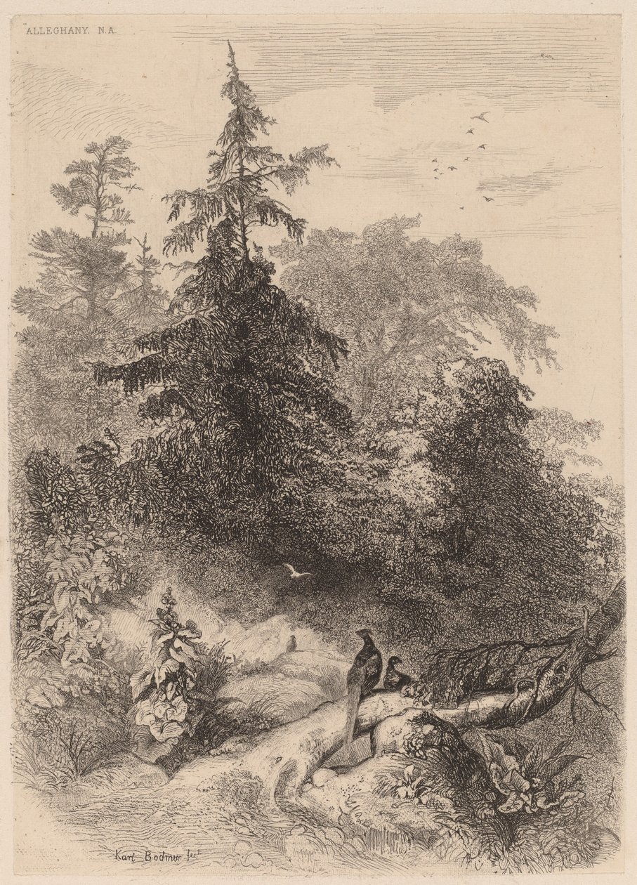 Fácánok alkotó: Karl Bodmer