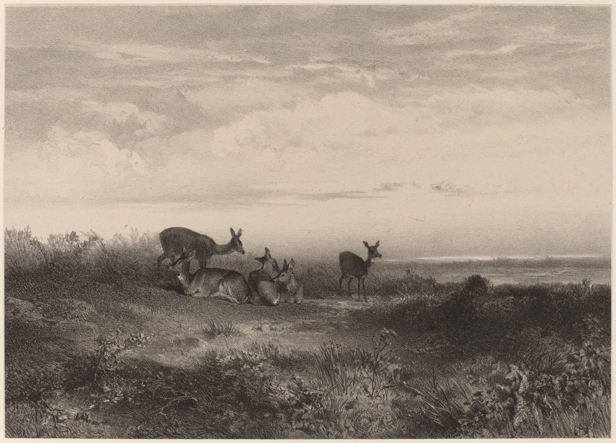 A hátsók. alkotó: Karl Bodmer