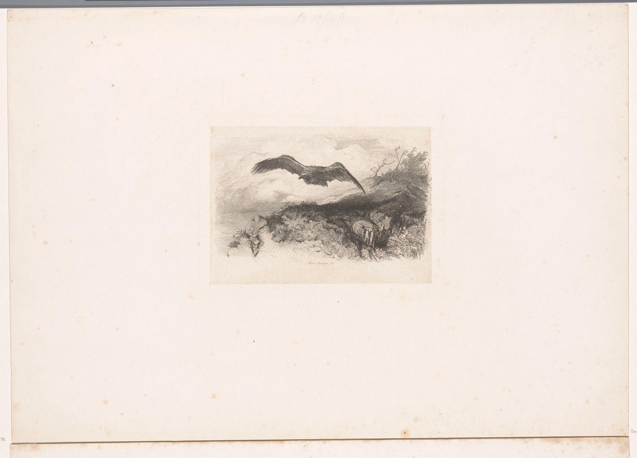 repülő sas Tájak állatokkal (sorozat címe) alkotó: Karl Bodmer