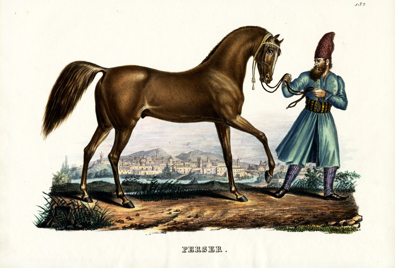 Perzsa ló, 1824 alkotó: Karl Joseph Brodtmann
