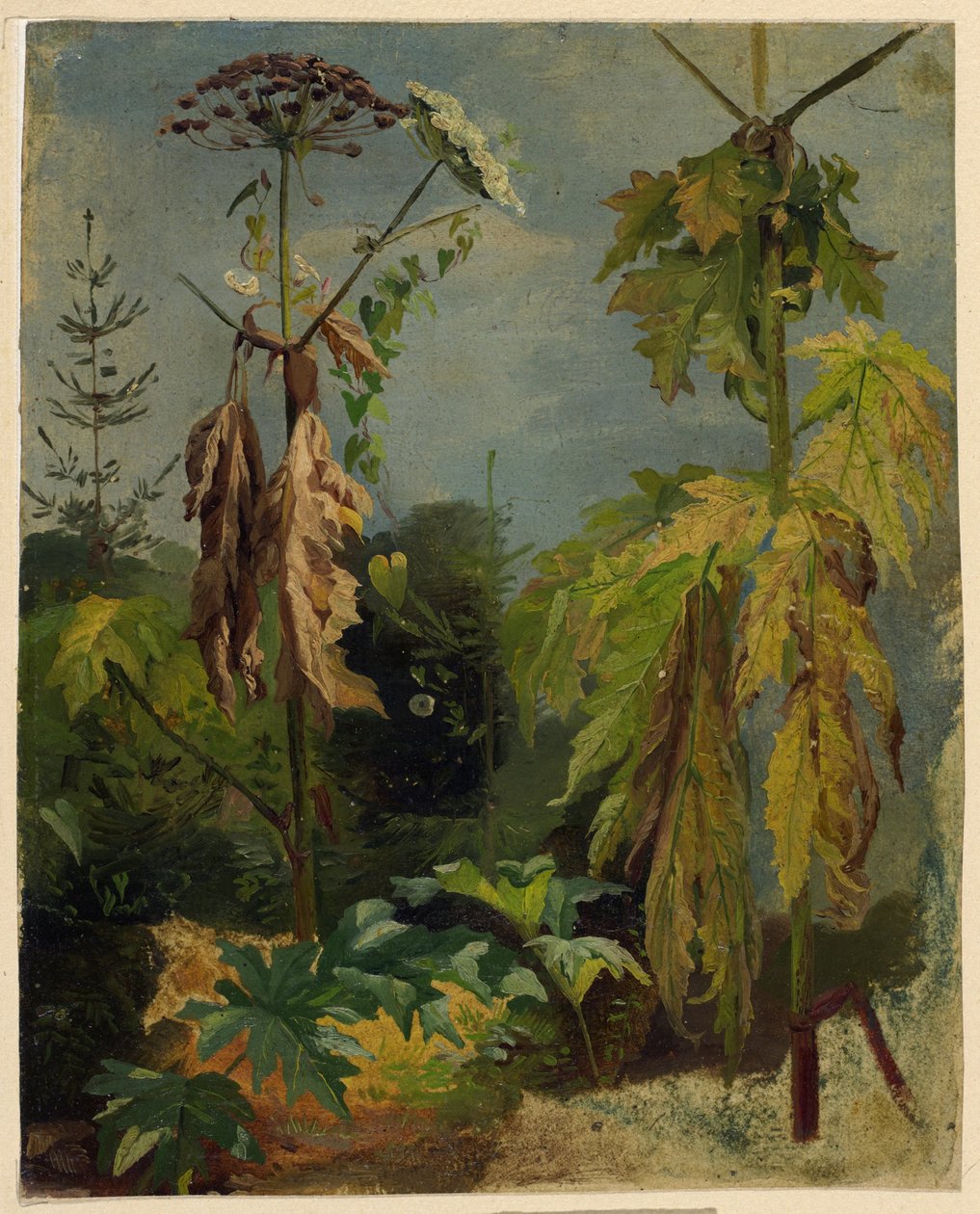 Bürök tanulmány alkotó: Karl Ludwig Seeger