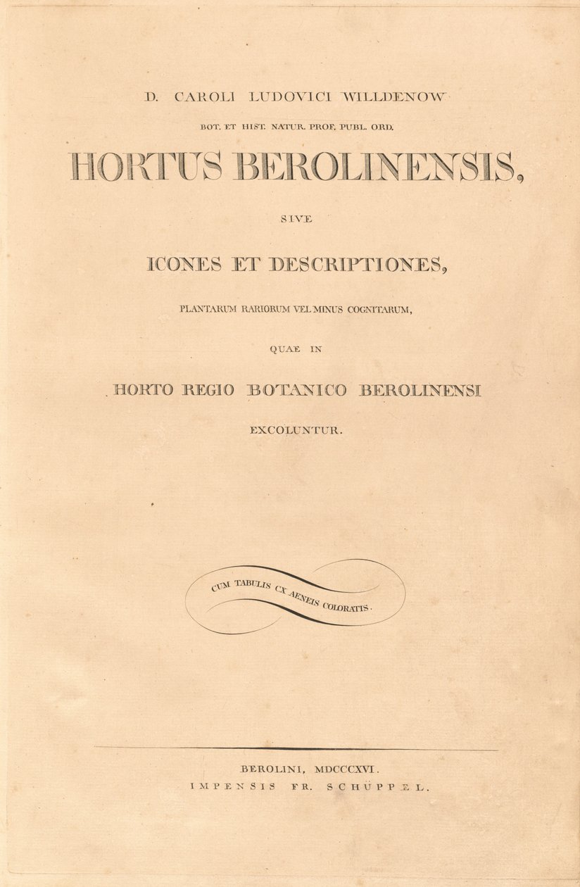 Berlin kertje alkotó: Karl Ludwig Willdenow
