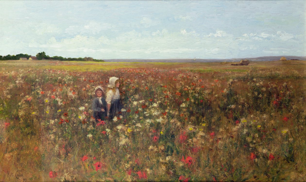 A Poppyfield, 1897 alkotó: Kate Colls