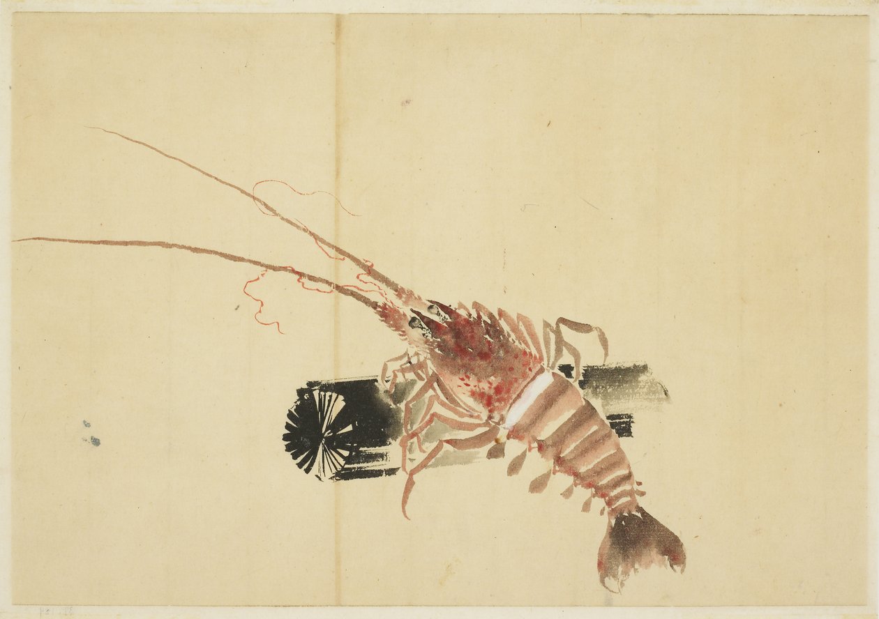 Ebi (óriás garnélarák) alkotó: Katsushika (school of) Hokusai