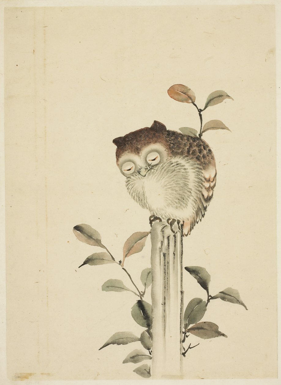 Bagoly alszik egy csonkon alkotó: Katsushika (school of) Hokusai
