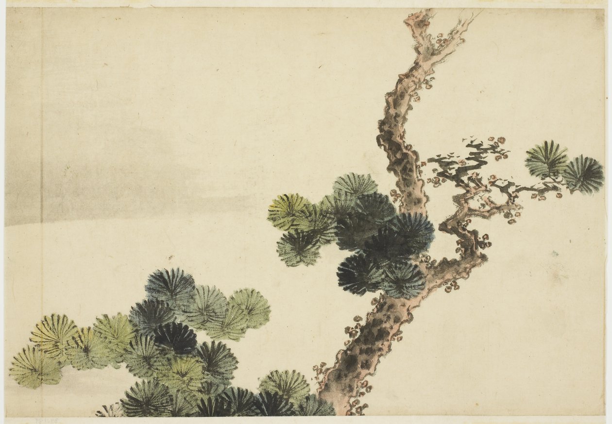 Fenyőág alkotó: Katsushika (school of) Hokusai
