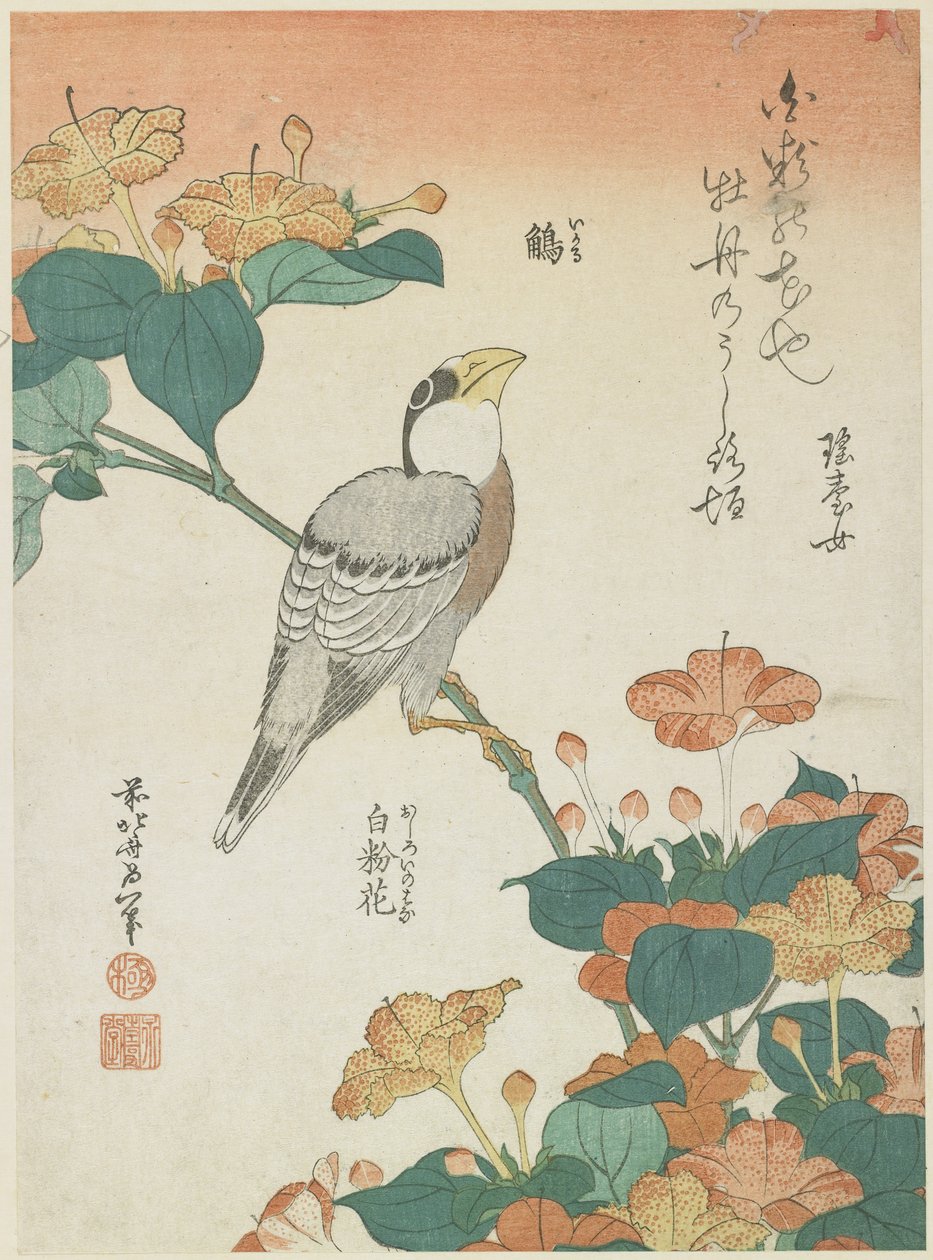Japán csőrös csőrös és négyes csőrű, 1833 körül alkotó: Katsushika Hokusai