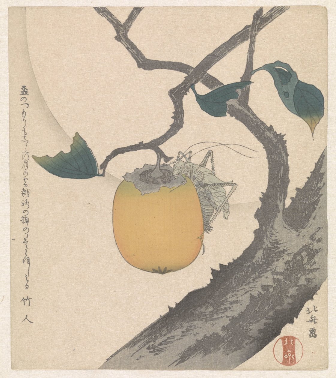 Kaki gyümölcs szöcskével alkotó: Katsushika Hokusai
