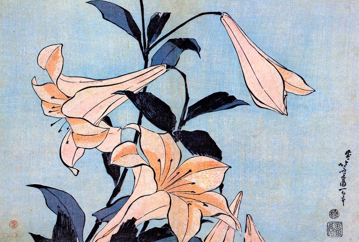 Liliomok, 1830. alkotó: Katsushika Hokusai