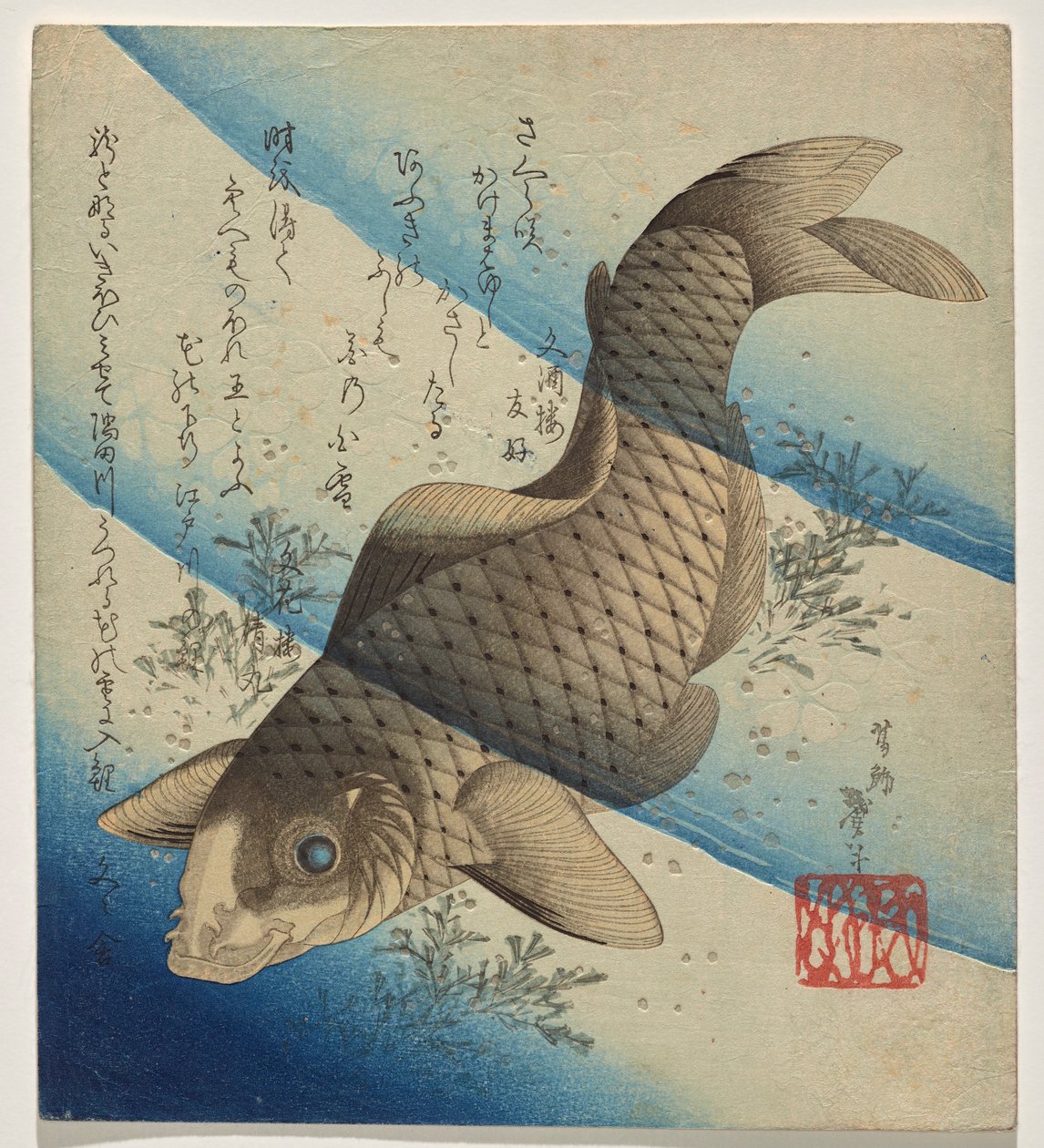 Hínárban úszó ponty alkotó: Katsushika Taito II