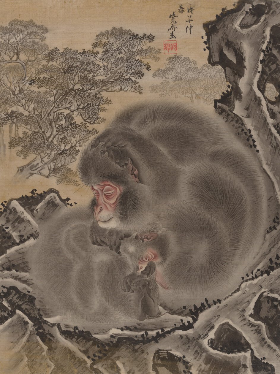 Majmok, 1888. március. alkotó: Kawanabe Kyosai