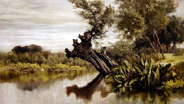 A fűzfa (olaj, vászon) alkotó: Keeley Halswelle