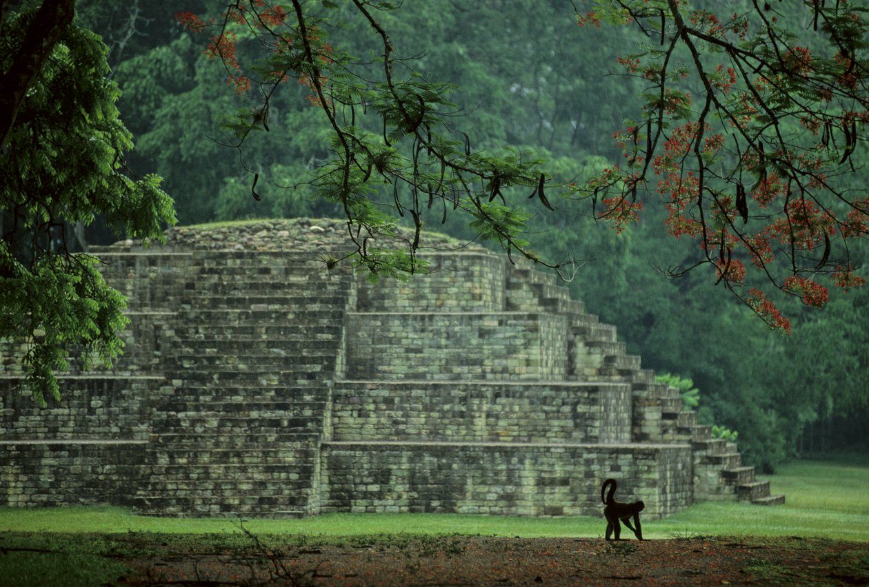 Honduras; Copan; Maya alkotó: Kenneth Garrett