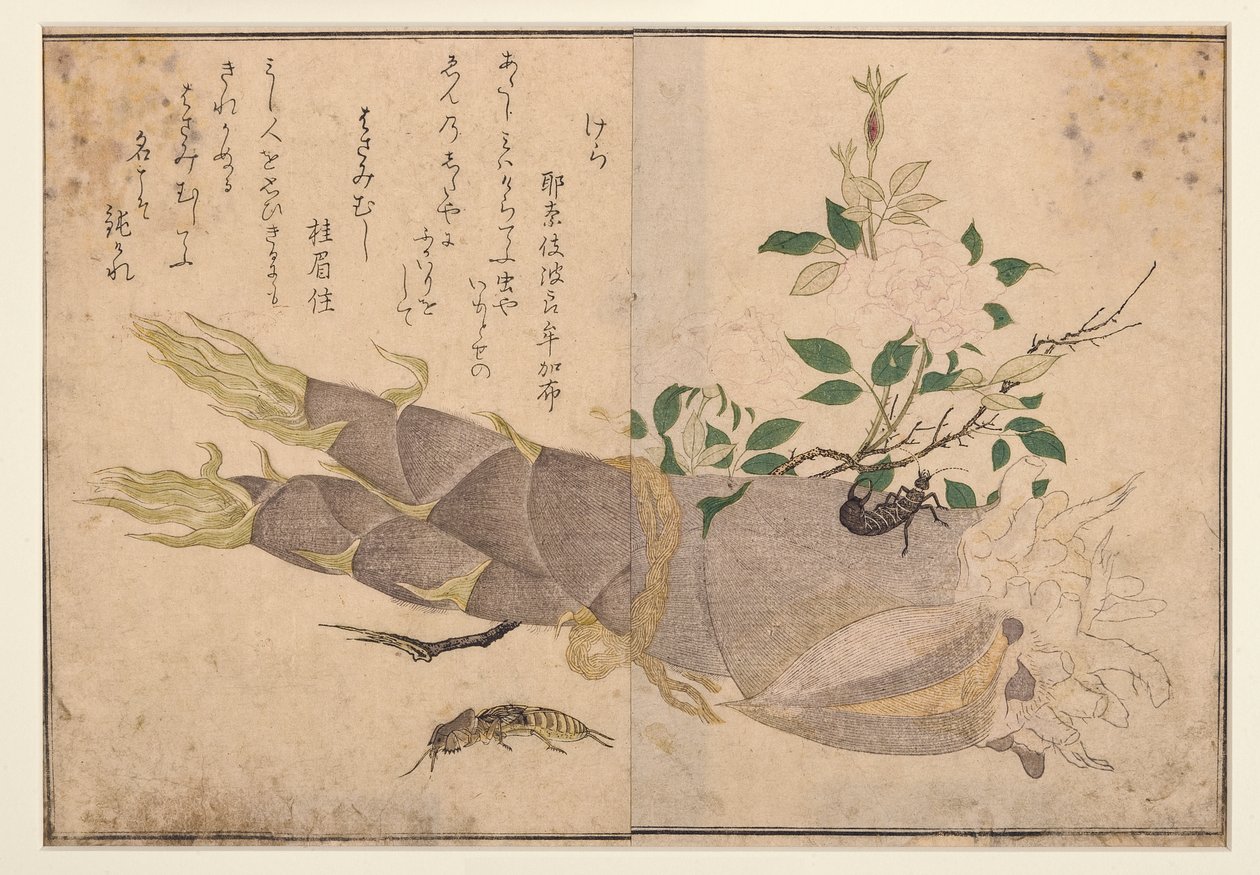 Fülbevaló és vakond tücsök, 1788 (fatömb) alkotó: Kitagawa Utamaro