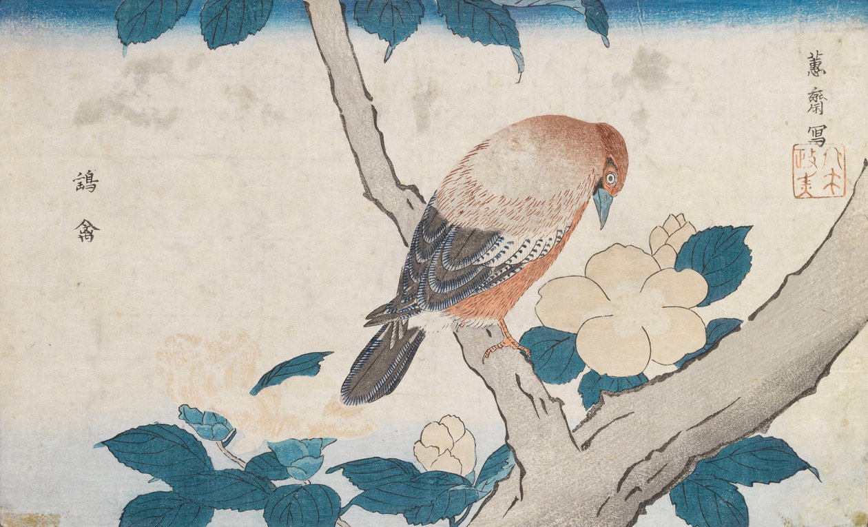 Névtelen alkotó: Kitao Masayoshi