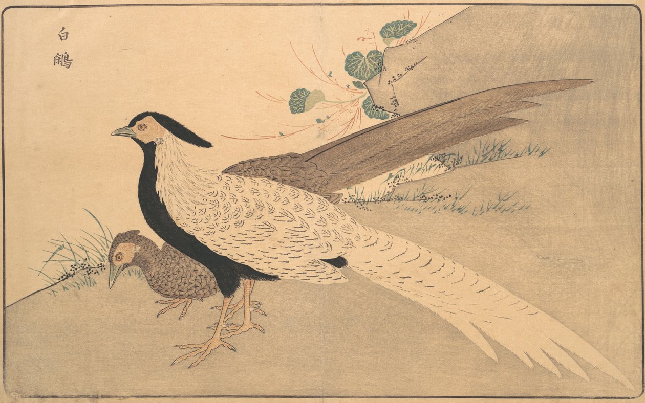 b Ae Hyun, 1789. alkotó: Kitao Masayoshi