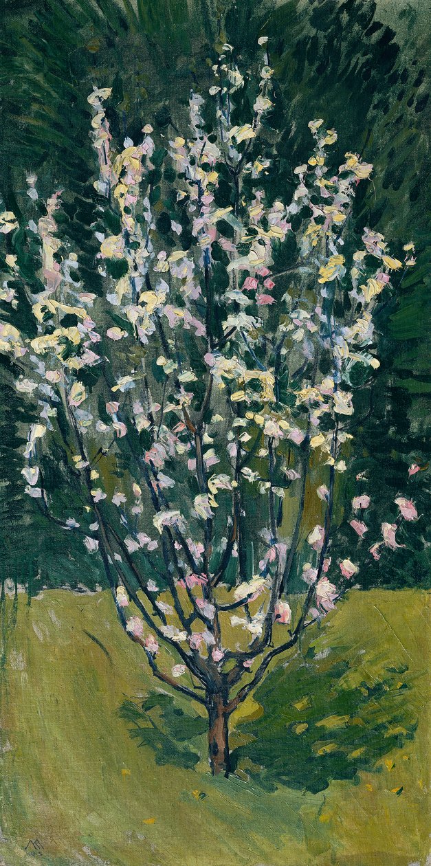 Virágzó csemete alkotó: Koloman Moser