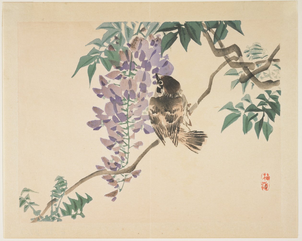 Veréb wisteria ágon, 1859-1895 alkotó: Kono Bairei
