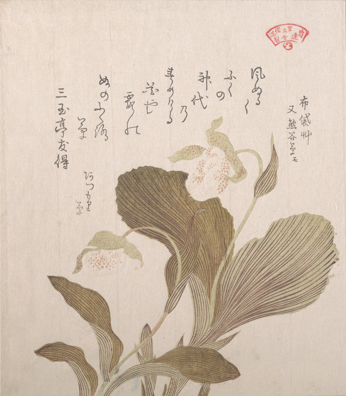 Hotei virágok, 19. század. alkotó: Kubo Shunman