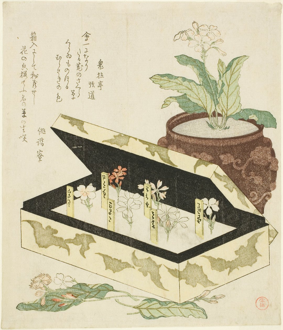 Primroses alkotó: Kubo Shunman