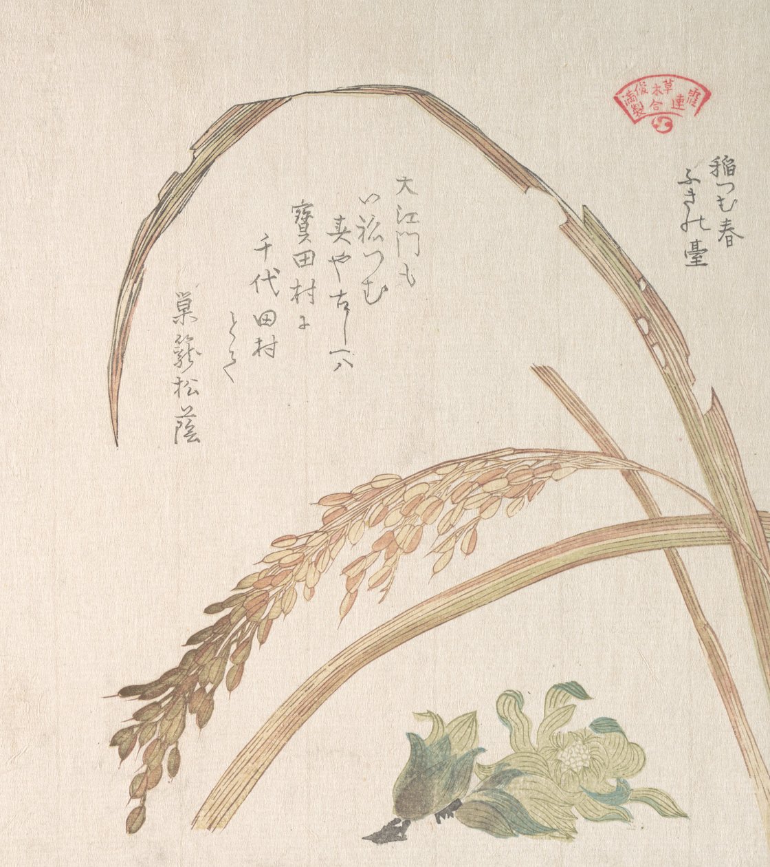 Rice Plant and Butter-Burs, 19. század. alkotó: Kubo Shunman