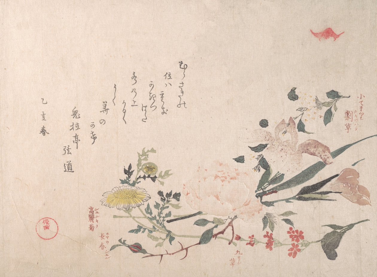 Rózsa, írisz, kankalin és százszorszép, 1815. alkotó: Kubo Shunman