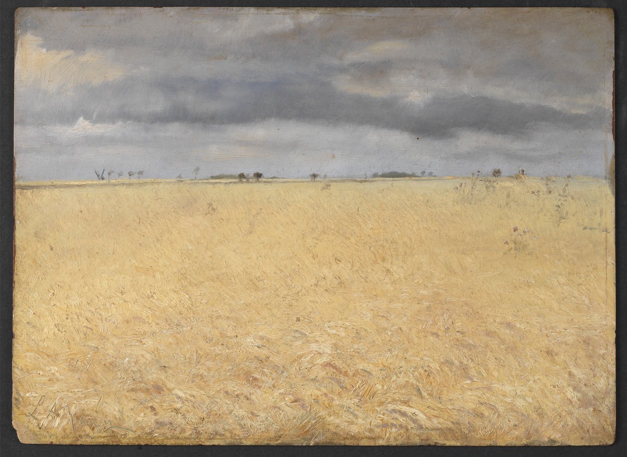 Egy rozsmező Ring Village közelében alkotó: Laurits Andersen Ring