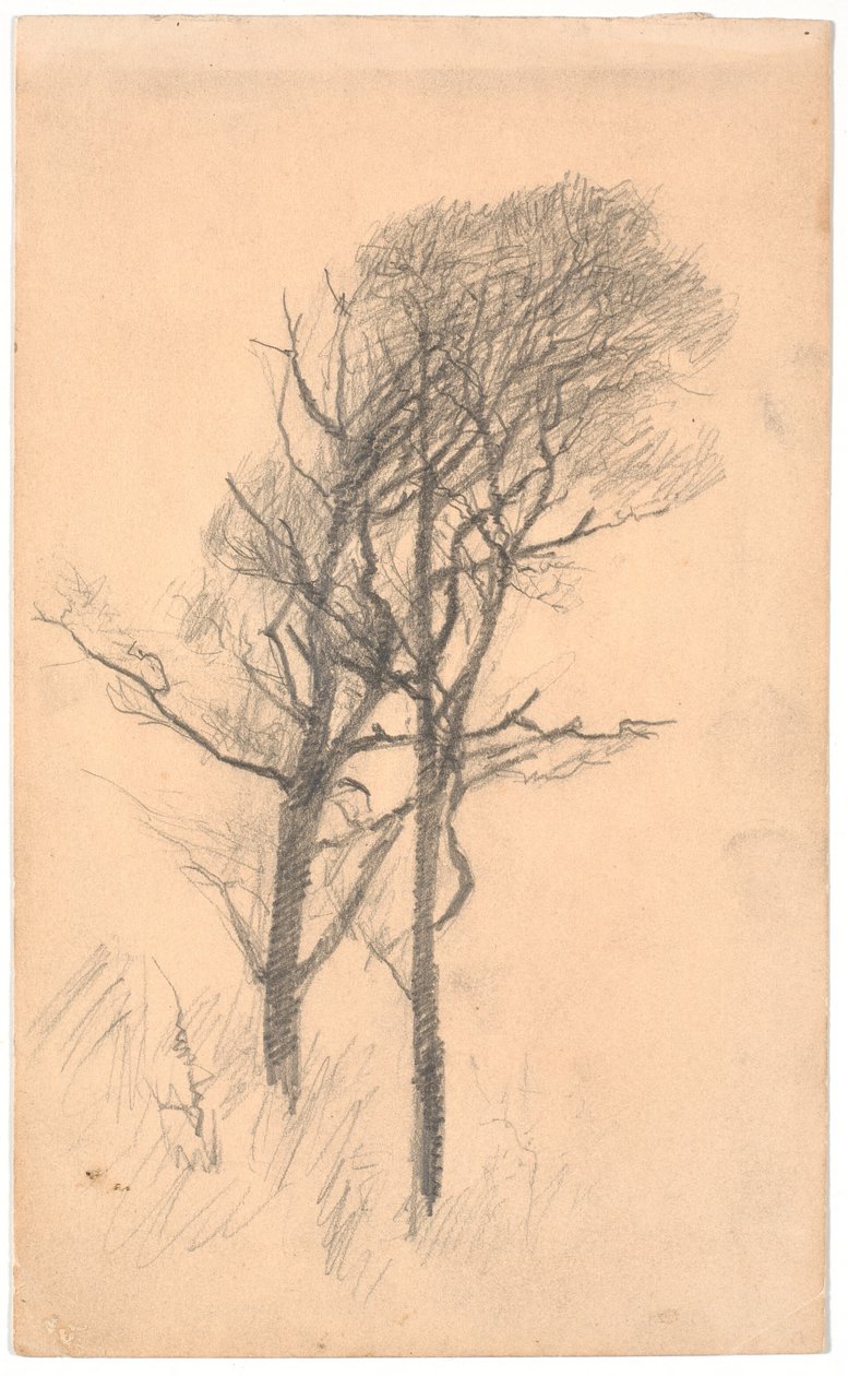 Két alacsony aljnövényzetű fa alkotó: Laurits Andersen Ring