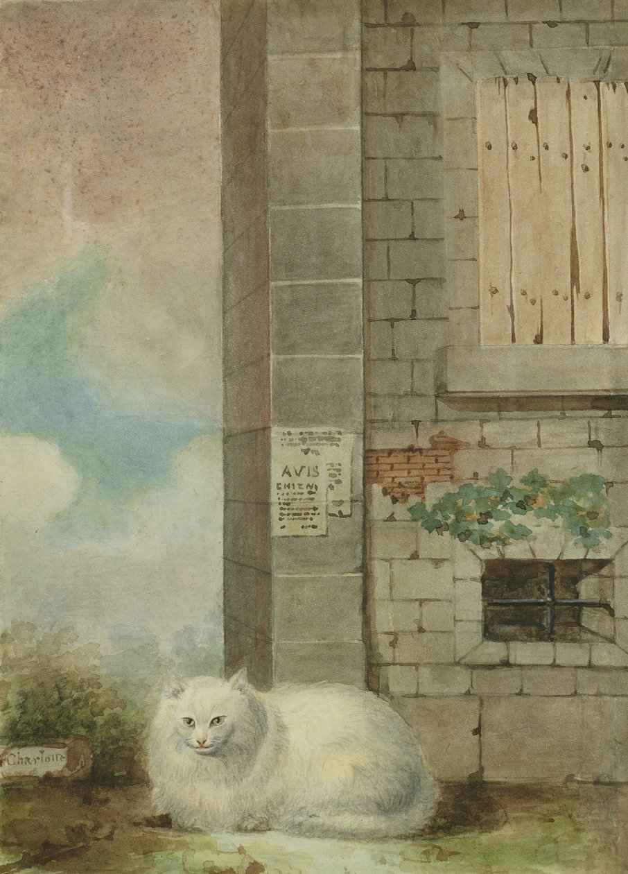 Fehér perzsa macska alkotó: Lady Charlotte Schreiber