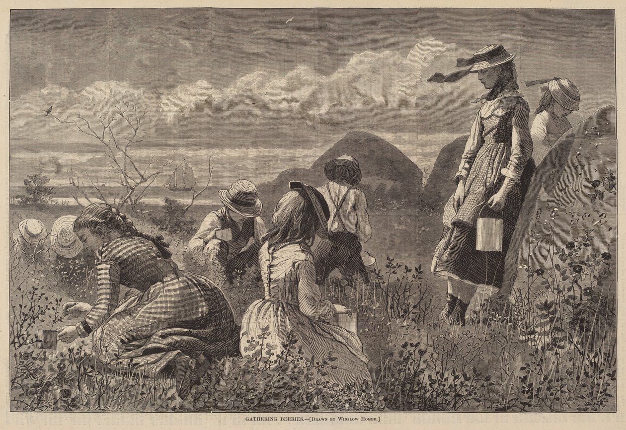 Bogyók gyűjtése alkotó: Lagarde after Winslow Homer