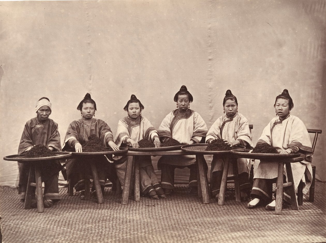 Culling Tea, kb. 1869. alkotó: Lai Fong.