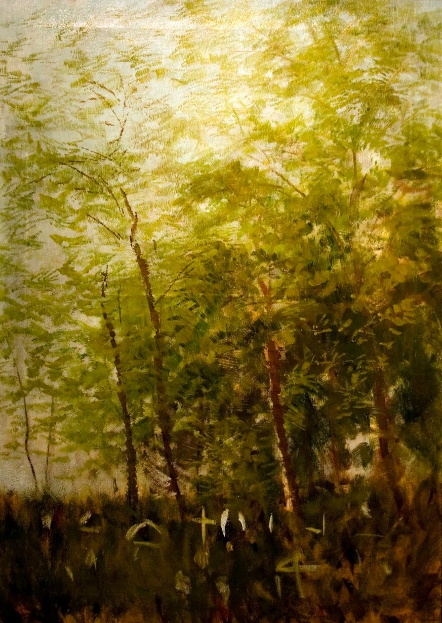 Erdoszele sirkeresztekkeln Angol: Fringe_of_Forest_with_Crossesn alkotó: Laszlo Mednyanszky