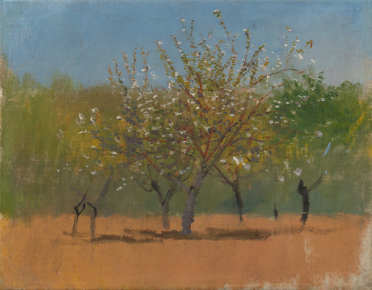 Trees in Blossom, 1880-90 körül (olaj, vászon) alkotó: Laszlo Mednyanszky