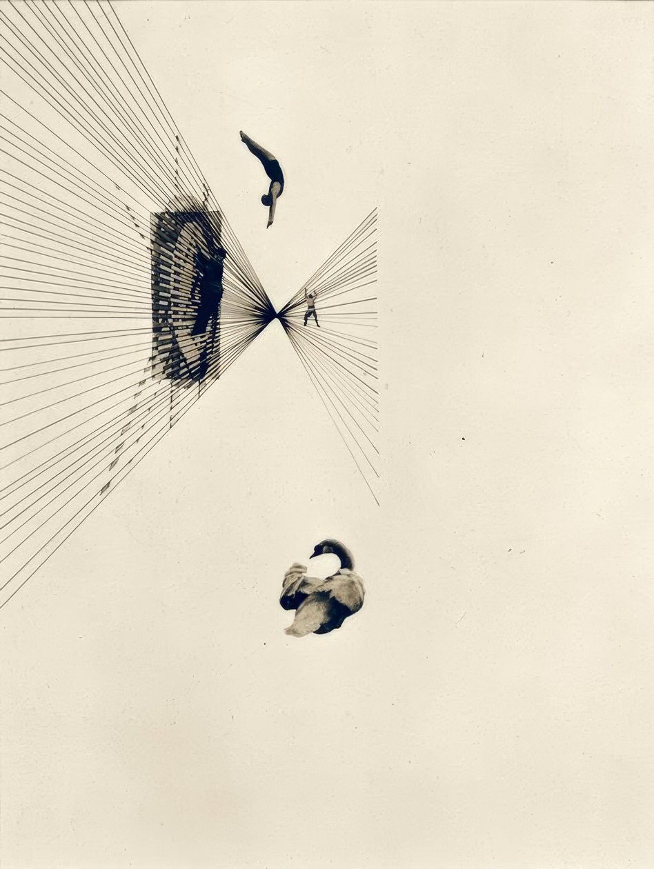 Léda és a hattyú alkotó: Laszlo Moholy Nagy